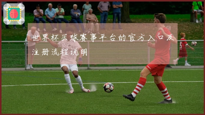 世界杯买球赛事平台的官方入口及注册流程说明
