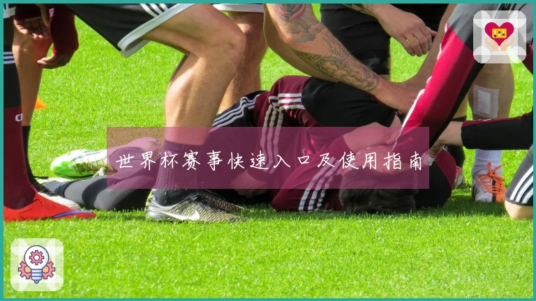 世界杯赛事快速入口及使用指南
