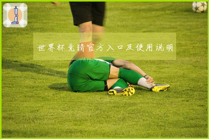 世界杯竞猜官方入口及使用说明