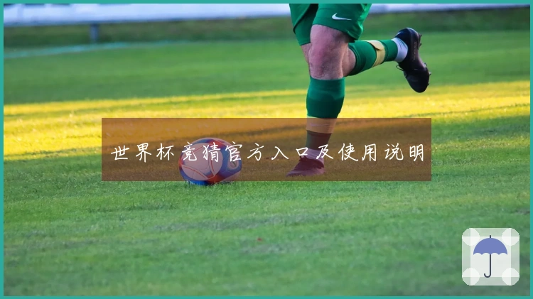 世界杯竞猜官方入口及使用说明