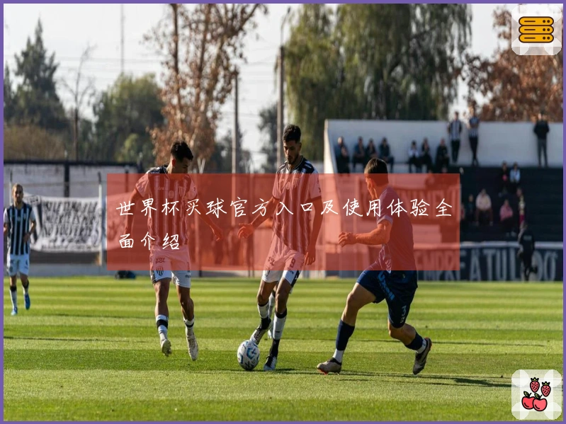 世界杯买球官方入口及使用体验全面介绍