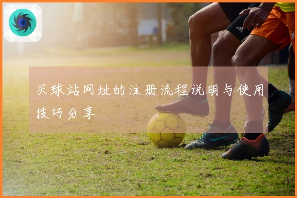 买球站网址的注册流程说明与使用技巧分享