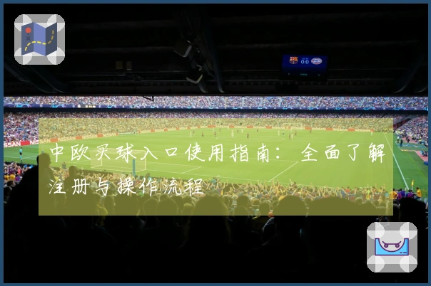 中欧买球入口使用指南：全面了解注册与操作流程